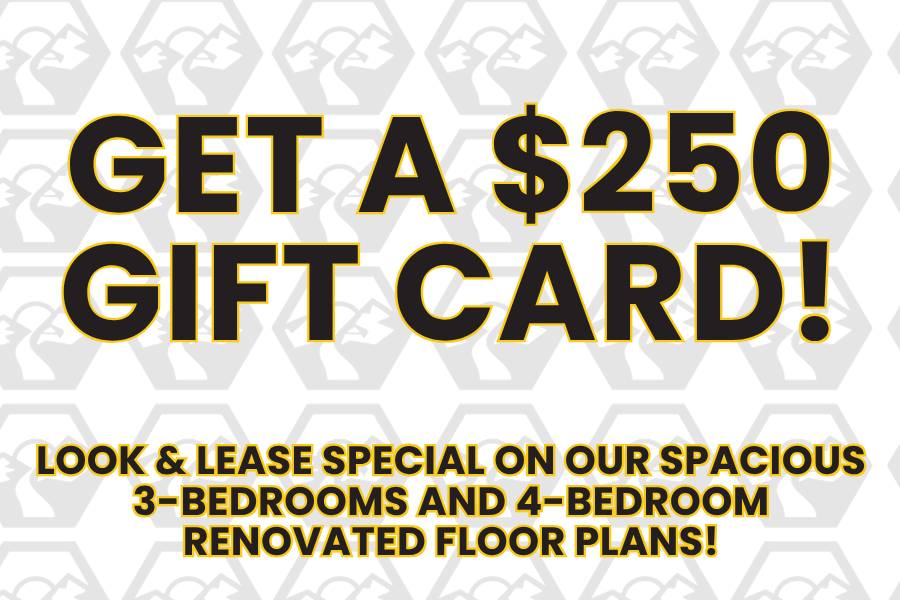 Win half off August rent popup